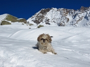 PASSEGGIATA IN VALMASINO AL RIFUGIO PONTI MT.2559 Venerdi 16 novembre 2012  - FOTOGALLERY